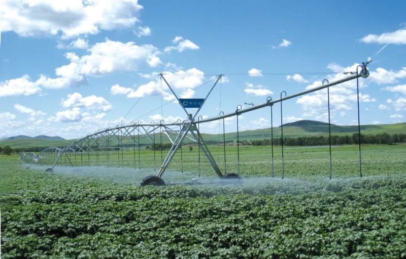 九游会老哥必备的交流社区_论坛帖吧