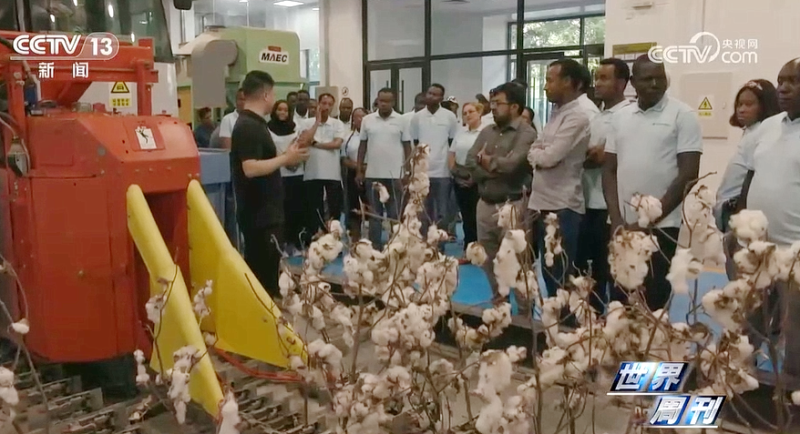 九游会老哥必备的交流社区_论坛帖吧