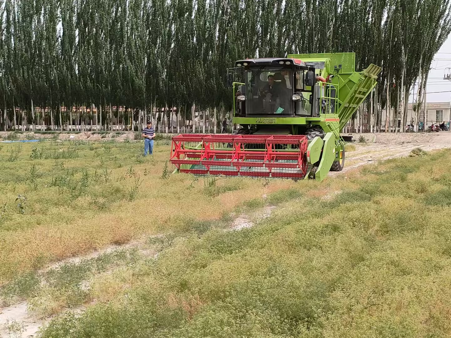 九游会老哥必备的交流社区_论坛帖吧